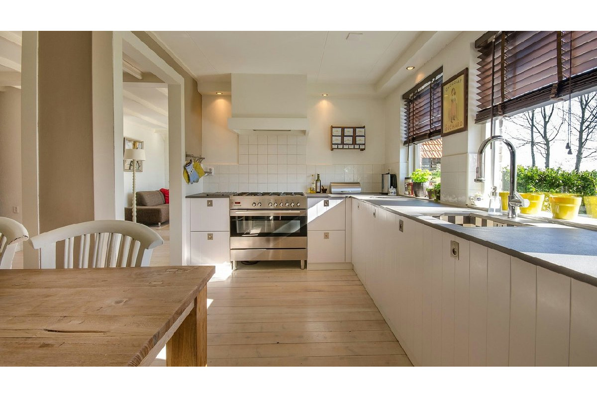 Le formiche invadono la cucina? Il rimedio naturale che usi in casa mette fine all’assedio!